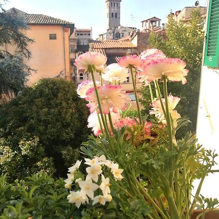 Bed And Breakfast Evelina Lucca Exteriér fotografie