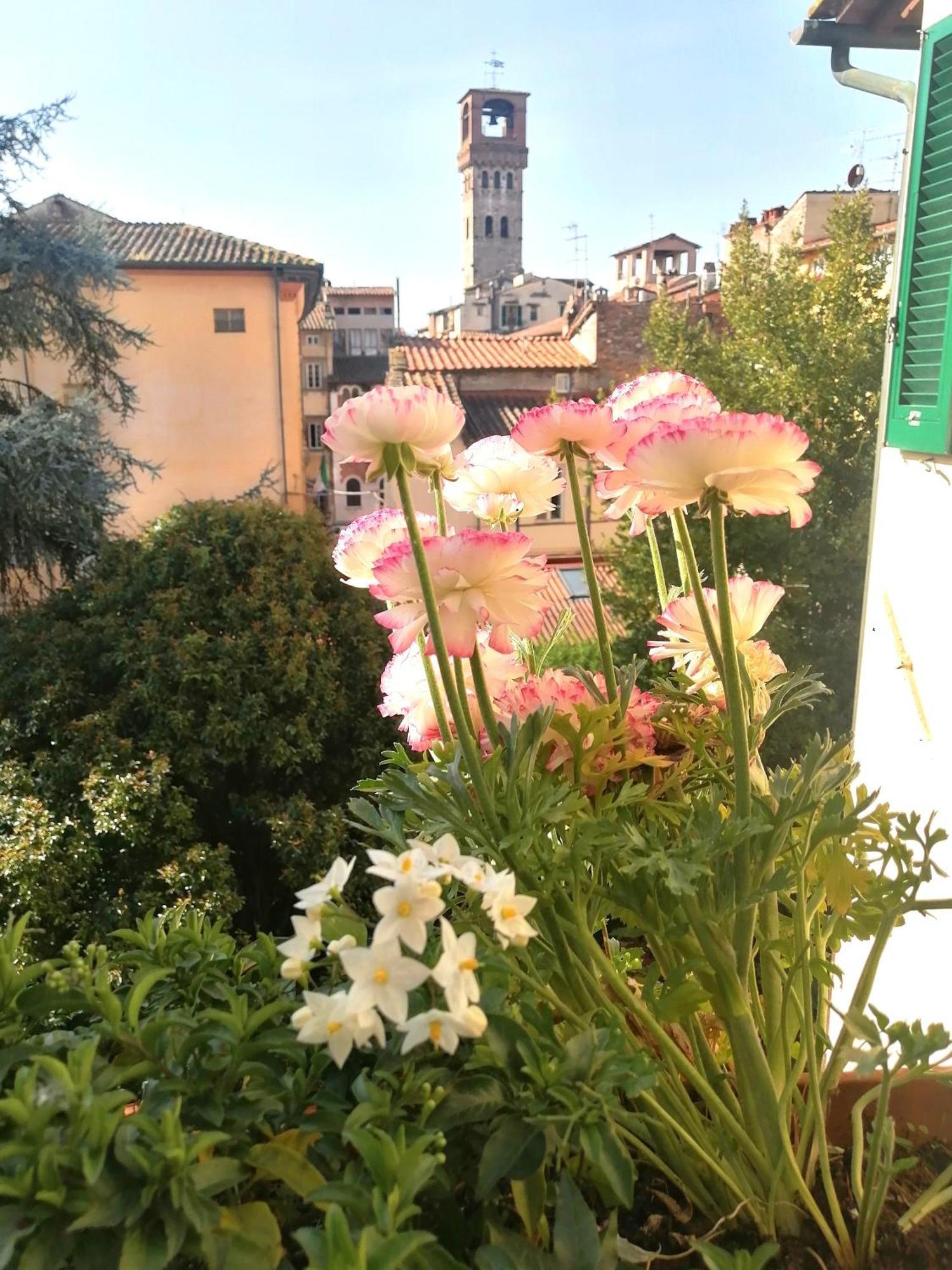 Bed And Breakfast Evelina Lucca Exteriér fotografie